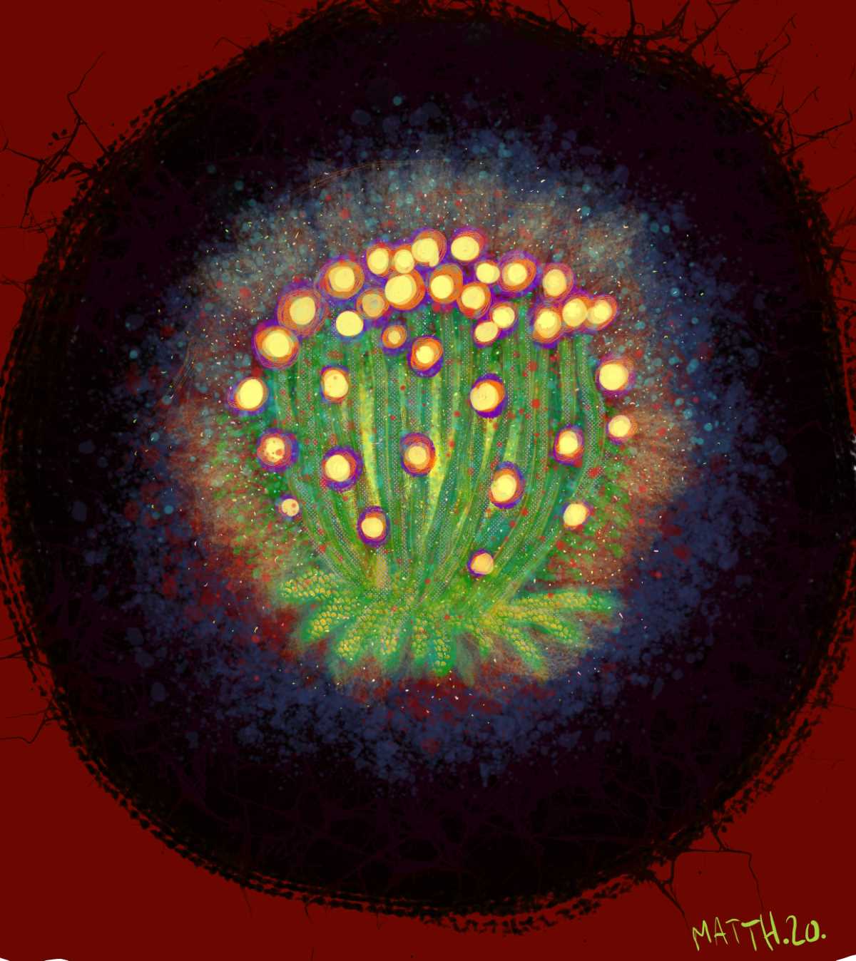 megapingouin-illustrations-watch-psych-flowers5